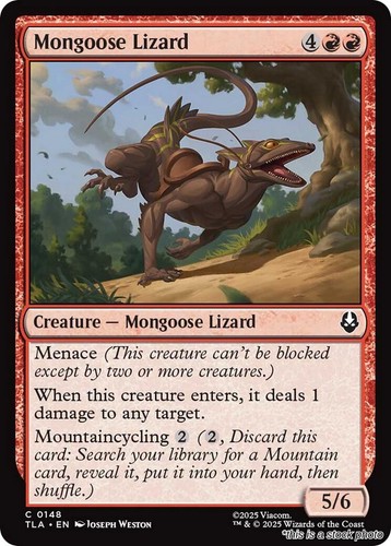 Mongoose lizard tla 148 - mongoose,
