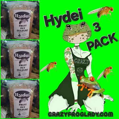 Fruit fly culture hydei - culture, pack