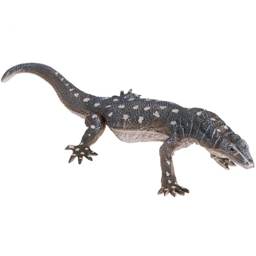 Mojo perentie monitor lizard - perentie,