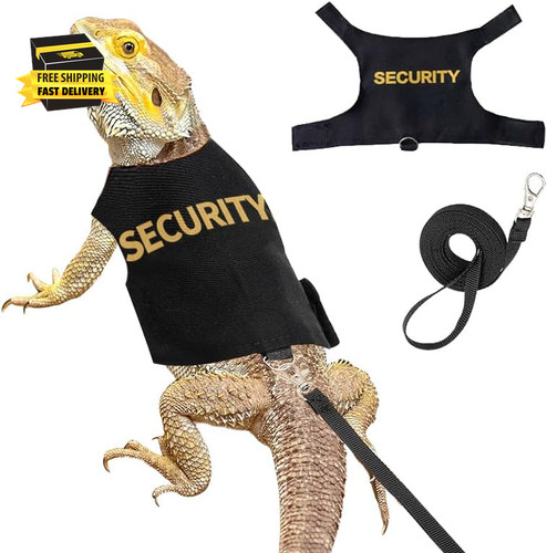 Bearded dragon harness - bearded, and
